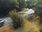 Live Camera Feed at Pershore Bridges - Picnic Area