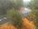 Live Camera Feed at Pershore Bridges - Picnic Area