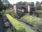 Live Camera Feed at Piercebridge