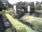 Live Camera Feed at Piercebridge