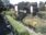Live Camera Feed at Piercebridge