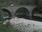 Live Camera Feed at Potarch Bridge