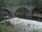 Live Camera Feed at Potarch Bridge