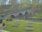 Live Camera Feed at Mitton