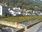 Live Camera Feed at Lynmouth