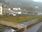 Live Camera Feed at Lynmouth
