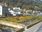 Live Camera Feed at Lynmouth
