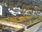 Live Camera Feed at Lynmouth