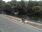 Live Camera Feed at Clonmel