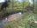Live Camera Feed at Sidbury