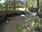 Live Camera Feed at Sidbury