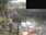 Live Camera Feed at Great Somerford