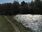 Live Camera Feed at Grantown on Spey