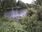 Live Camera Feed at Pitlochry