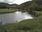 Live Camera Feed at Traquair