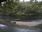 Live Camera Feed at Dunkeld