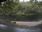 Live Camera Feed at Dunkeld