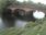 Live Camera Feed at Callander