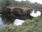Live Camera Feed at Callander
