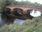 Live Camera Feed at Callander