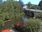 Live Camera Feed at Tenbury Wells - Teme Bridge