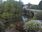 Live Camera Feed at Tenbury Wells - Teme Bridge