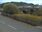 Live Camera Feed at Usk