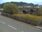 Live Camera Feed at Usk
