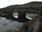 Live Camera Feed at Burnsall