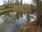 Live Camera Feed at Egton Bridge