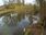 Live Camera Feed at Egton Bridge