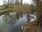Live Camera Feed at Egton Bridge