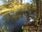 Live Camera Feed at Egton Bridge