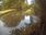 Live Camera Feed at Egton Bridge