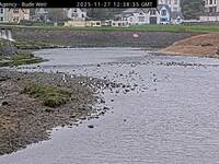 Camera at Bude Weir
