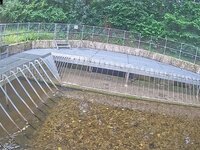 Camera at Bradiford