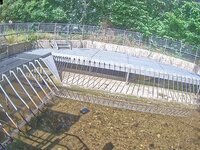 Camera at Bradiford