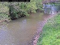 Camera at Bishops Hull