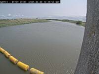 Camera at Brean Cross