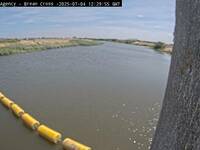 Camera at Brean Cross
