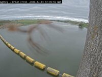 Camera at Brean Cross