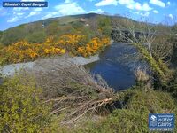Camera at Capel Bangor 