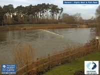 Camera at Diglis Weir