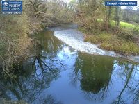 Camera at Dolau Afon