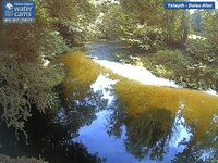 Camera at Dolau Afon