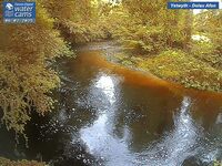 Camera at Dolau Afon