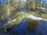 Camera at Dolau Afon