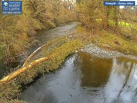 Camera at Dolau Afon