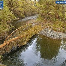 Camera at Dolau Afon