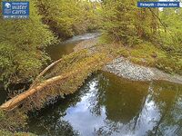 Camera at Dolau Afon